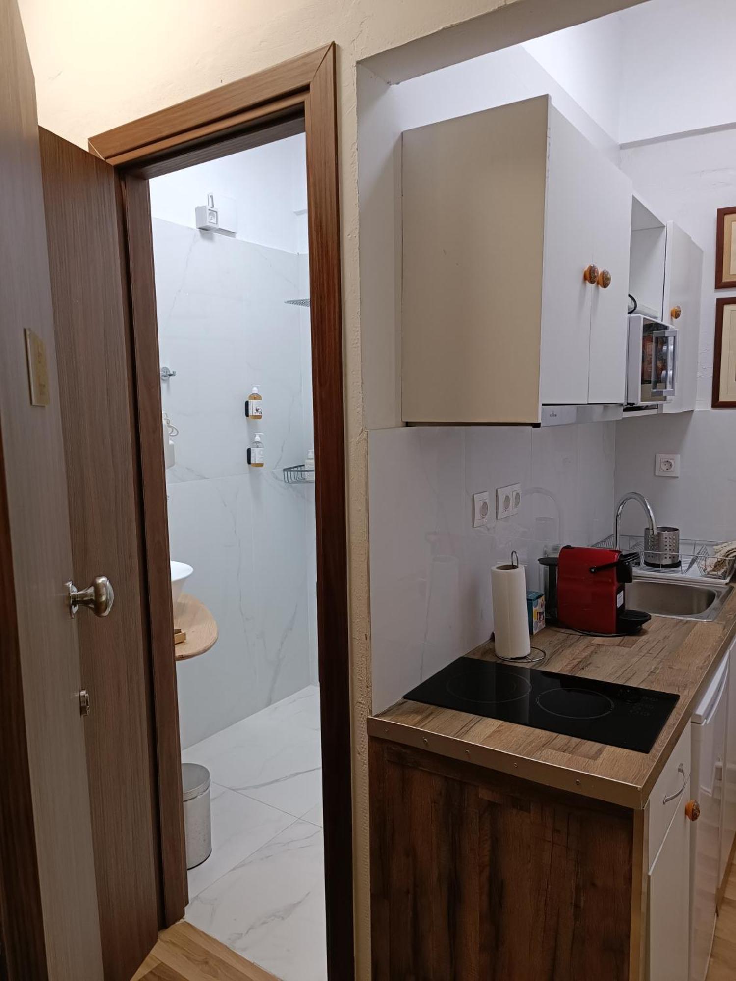 Ulysses Apartments Acropolis アテネ 部屋 写真